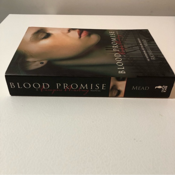 Richelle Mead Books Vampire Academy Shadow Kiss, Blood Promise & Bloodlines Lily - Picture 4 of 13